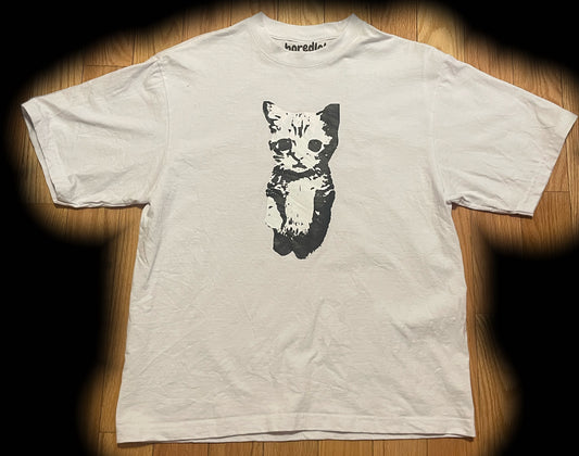 El gato cat